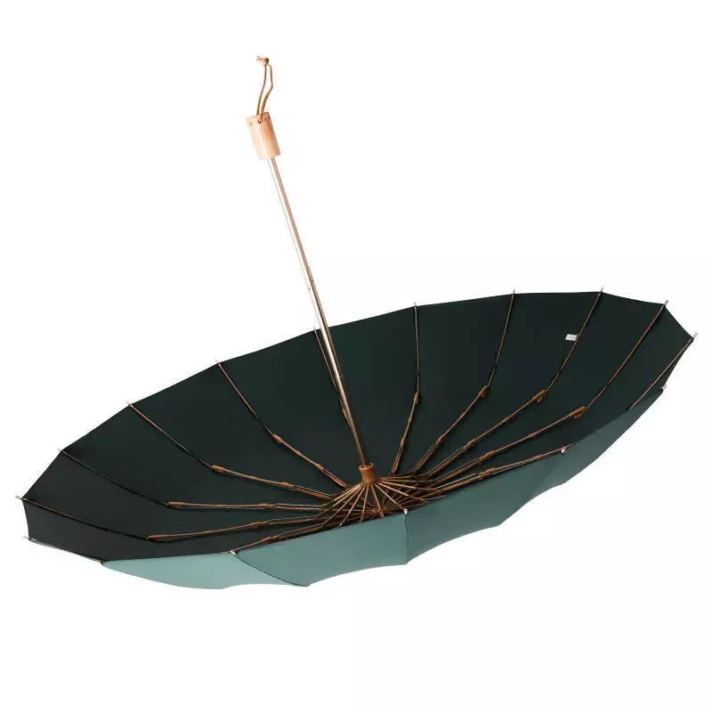 Venetian Umbrella