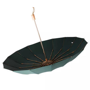 Venetian Umbrella
